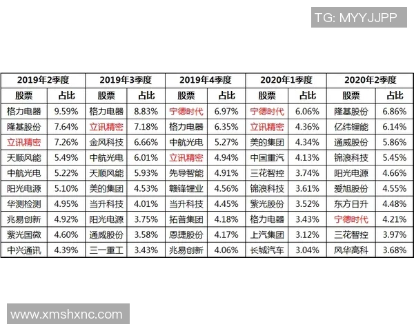 南京排球队以60分领跑挑战赛积分榜展现强劲实力与团队合作精神